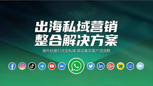 海外社媒代運(yùn)營性價(jià)比深度分析 如何為您的企業(yè)挑選合適的優(yōu)質(zhì)服務(wù)